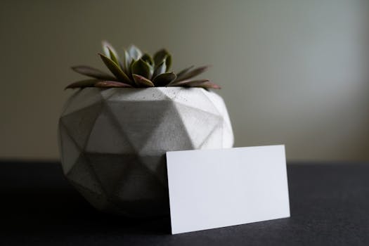 Create a Compelling Portfolio: A Guide to Showcasing Your Skills